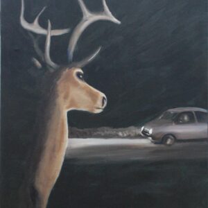Deer Road Incidents