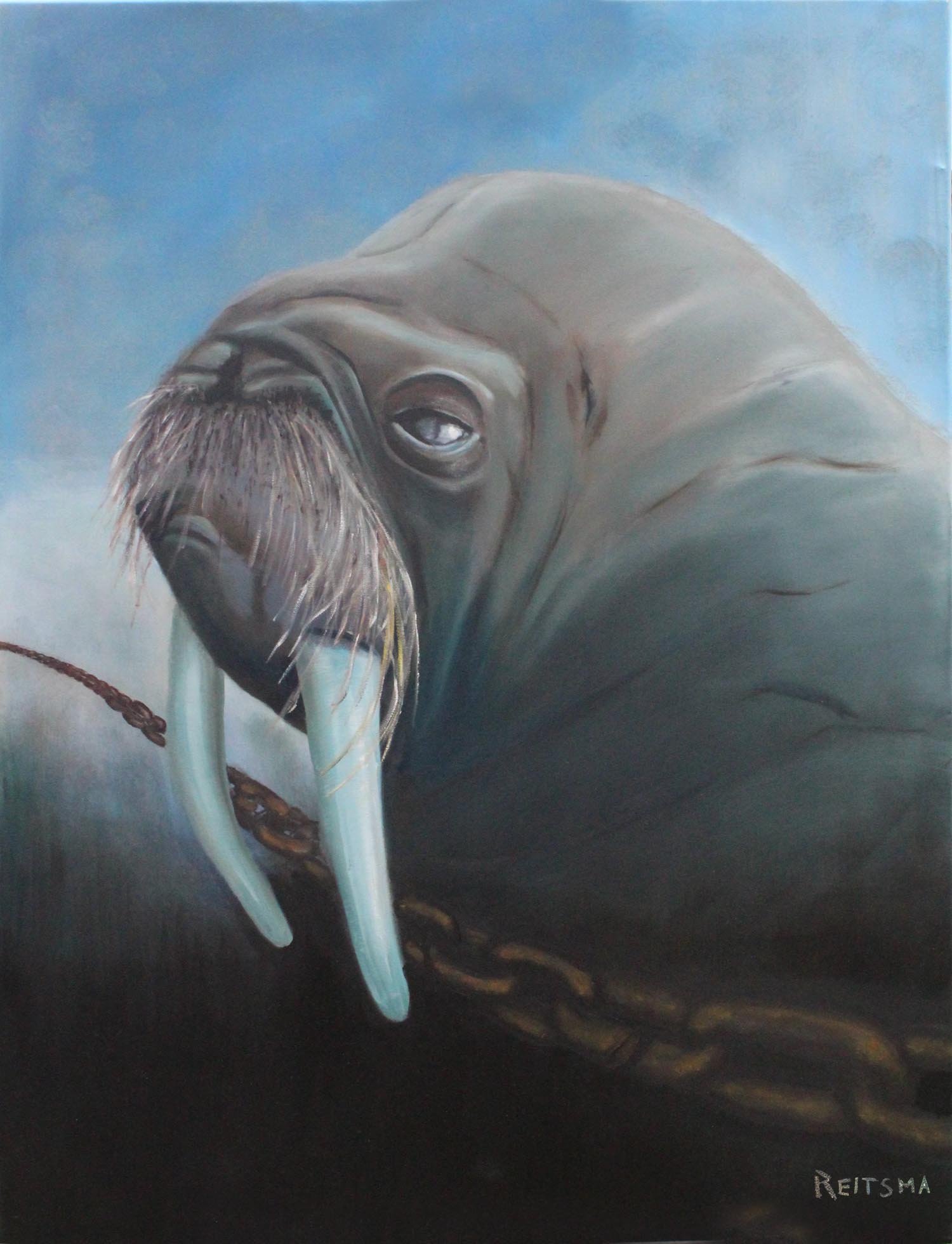 Walrus On Thin Ice
