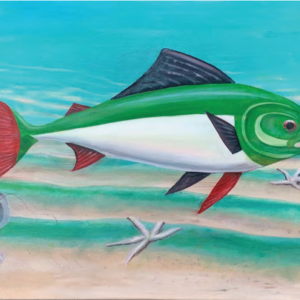 Gaza Catch